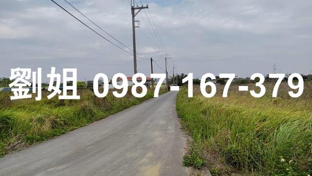 高雄路竹農地-1