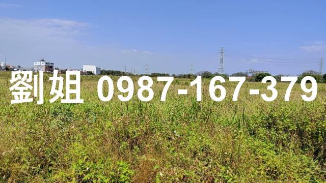 高雄路竹農地-2