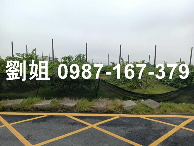 高雄燕巢農地-1