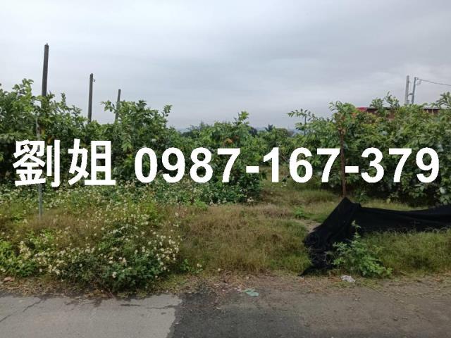 高雄燕巢農地-2