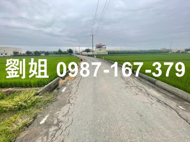 高雄大寮農地-0