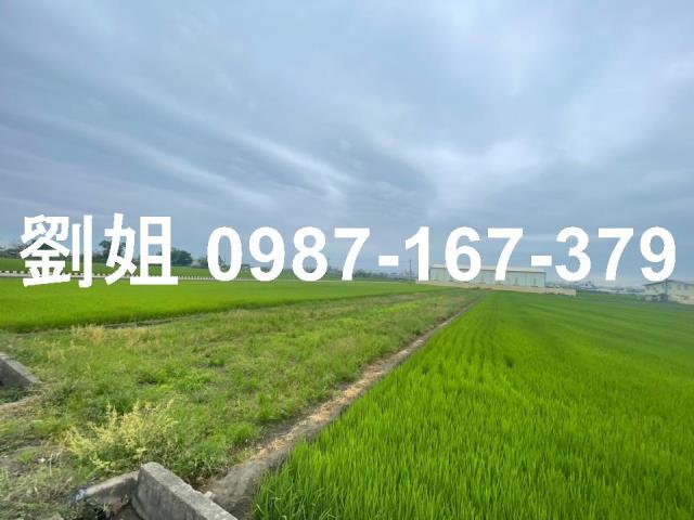 高雄大寮農地-1
