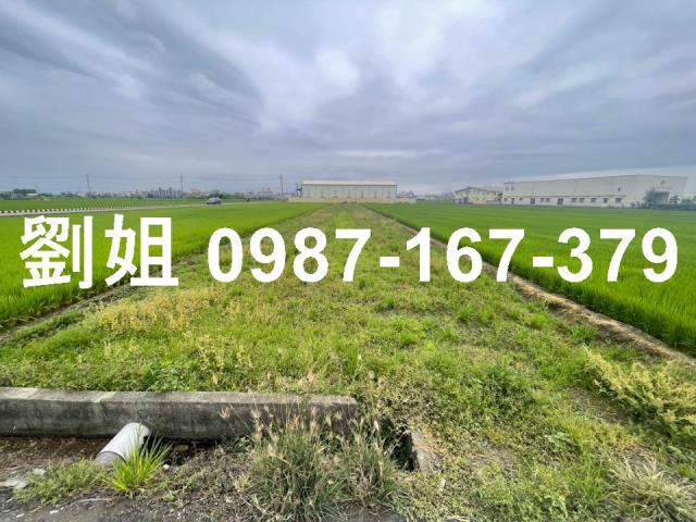 高雄大寮農地-2
