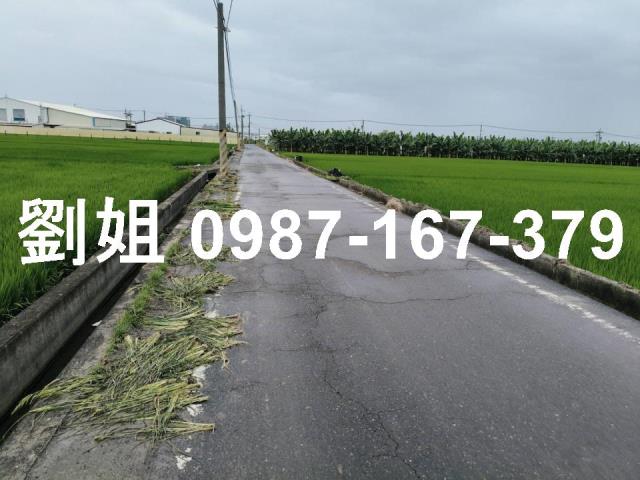 高雄大寮農地-0