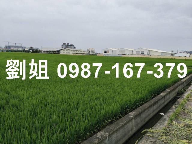 高雄大寮農地-1