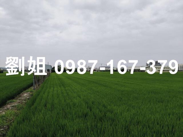 高雄大寮農地-2
