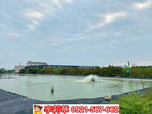 高雄美濃農地-6