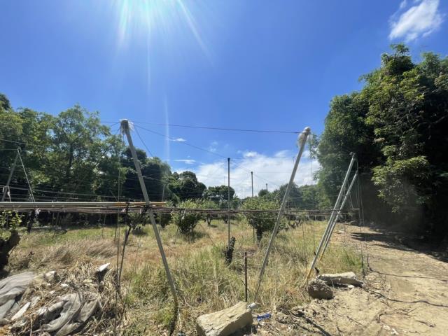 高雄燕巢農地-3