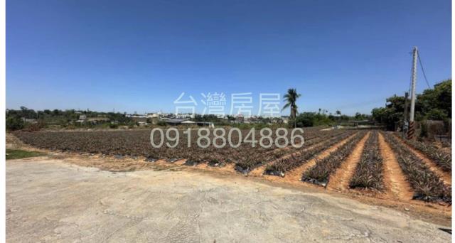 高雄農地-0