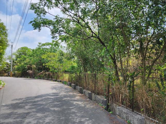 高雄燕巢農地-9