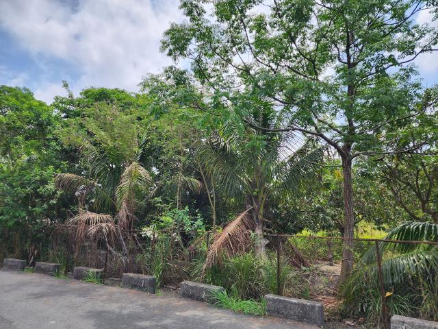 高雄燕巢農地-10