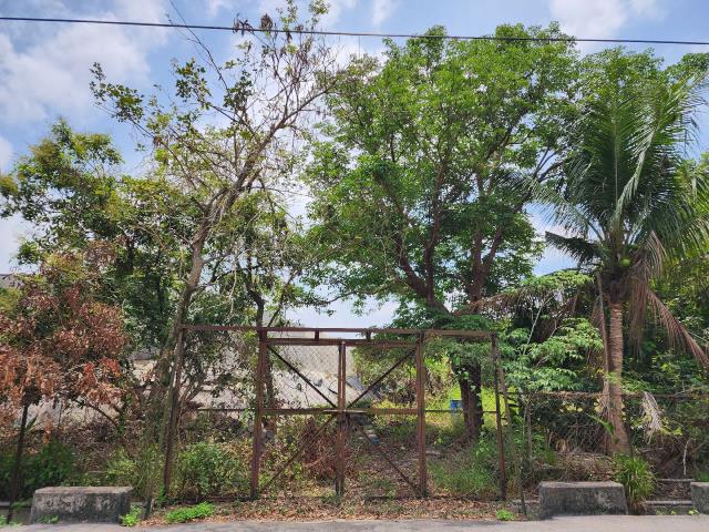 高雄燕巢農地-12