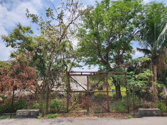 高雄燕巢農地-1