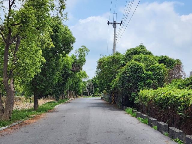 高雄燕巢農地-2