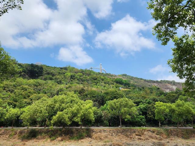 高雄燕巢農地-3