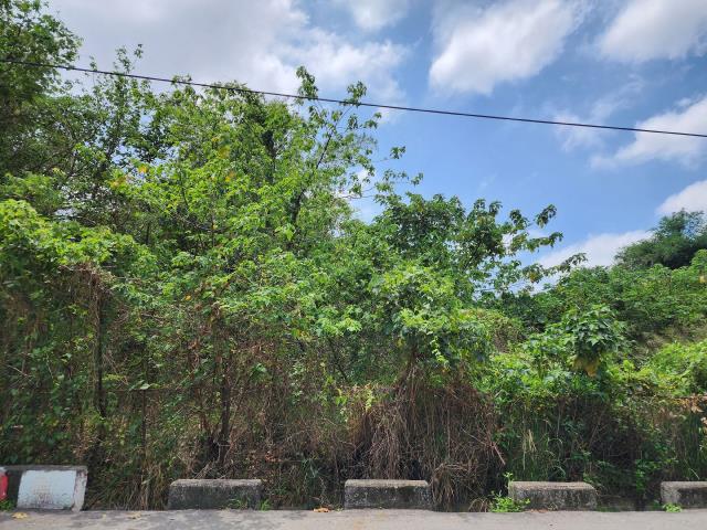 高雄燕巢農地-4