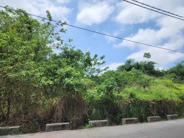 高雄燕巢農地-5