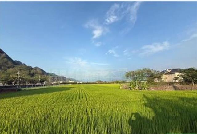 高雄農地-2