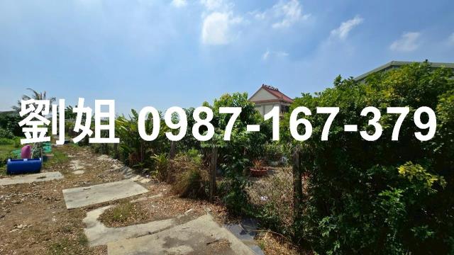 高雄大寮農地-1