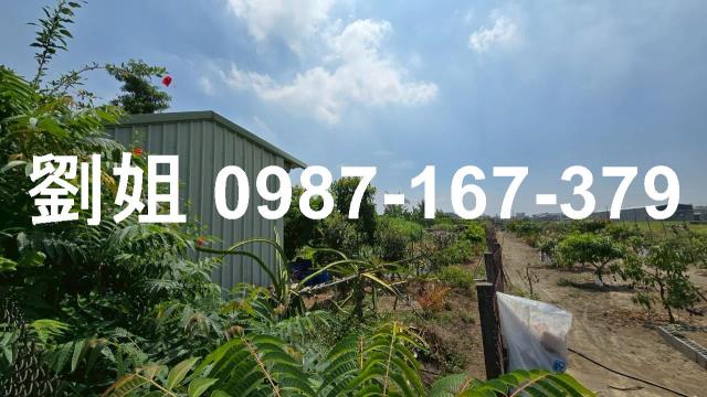 高雄大寮農地-3