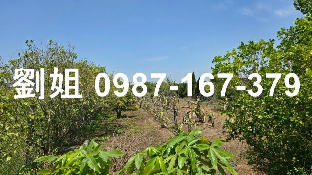 高雄大寮農地-4