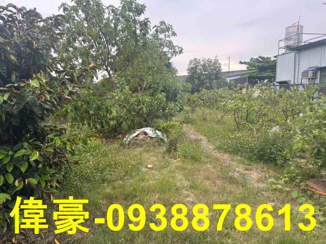 高雄岡山農地-0