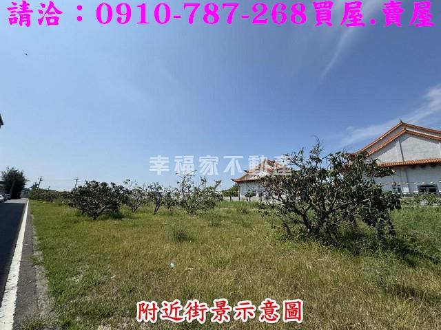 高雄湖內農地-2