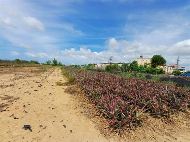 高雄大樹農地-0