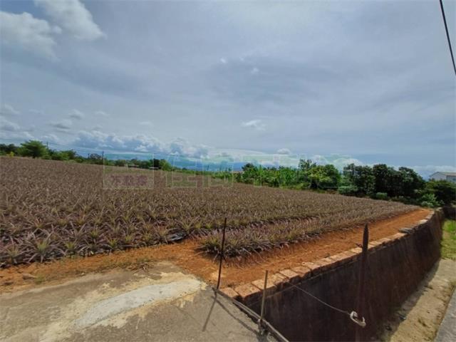 高雄大樹農地-3