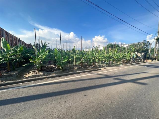 高雄大寮農地-10