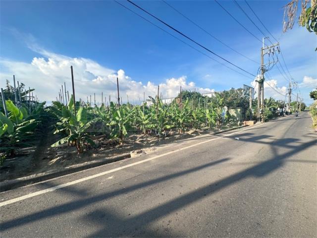 高雄大寮農地-11