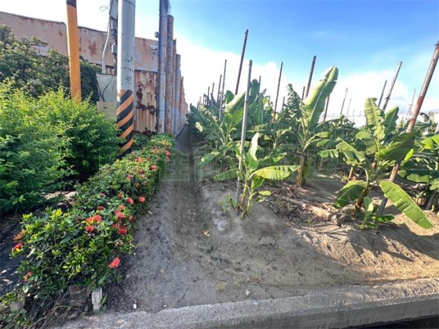 高雄大寮農地-13