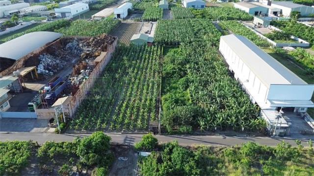 高雄大寮農地-14