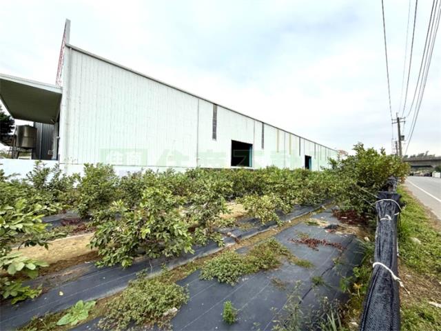 高雄大寮農地-10