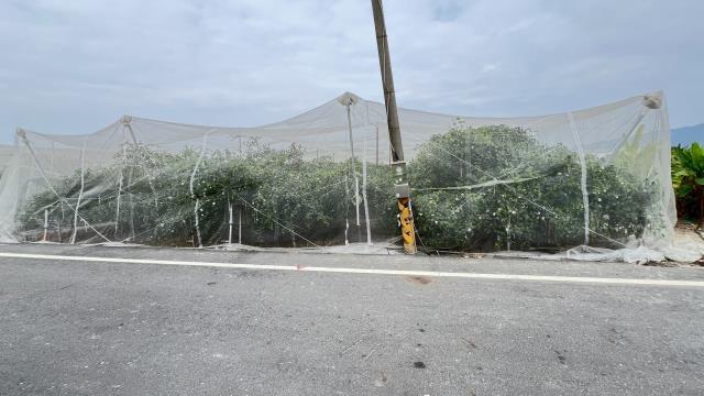 高雄岡山農地-1