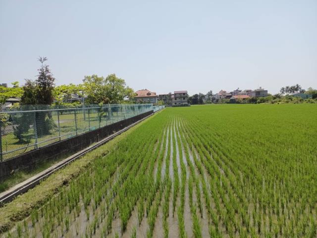 高雄美濃農地-9