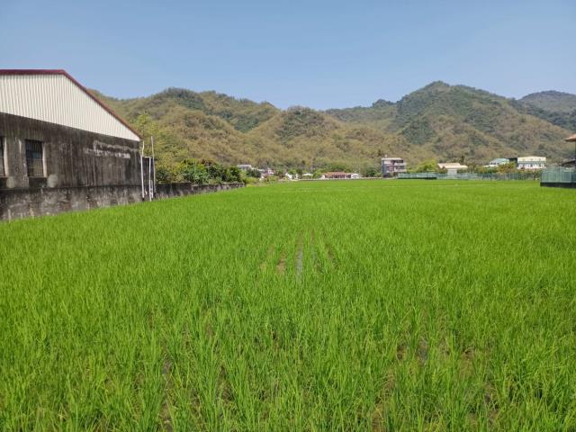 高雄美濃農地-1