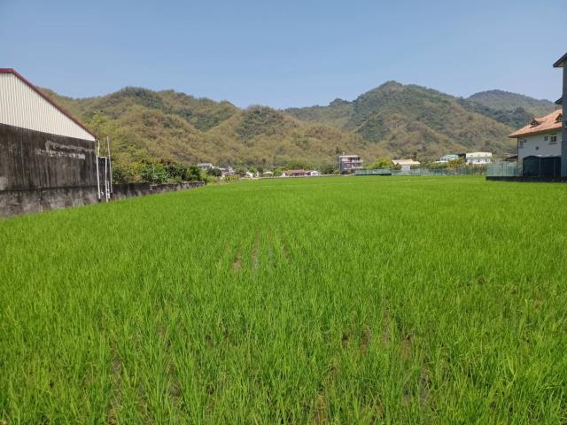 高雄美濃農地-2