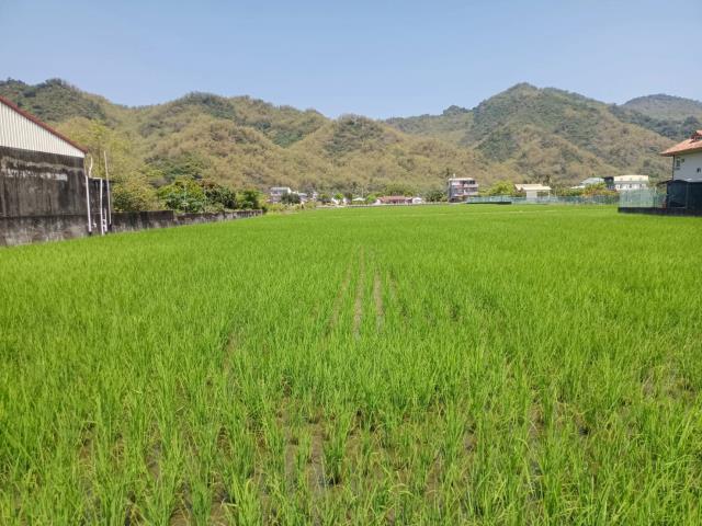 高雄美濃農地-3
