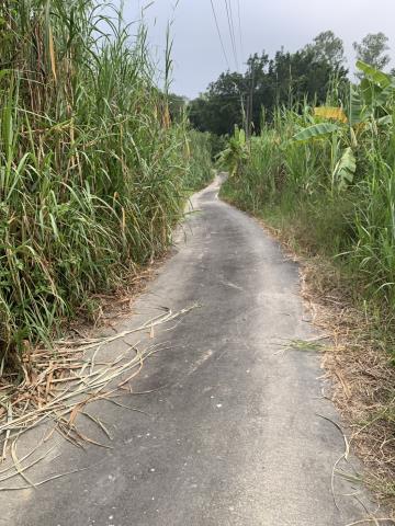 高雄內門農地-0