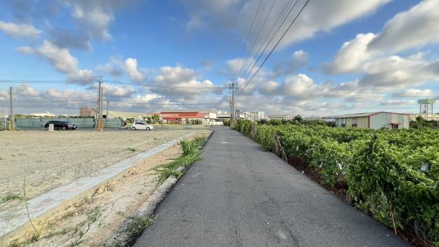 高雄燕巢農地-5