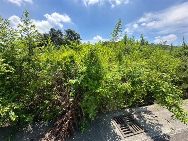 高雄岡山農地-4