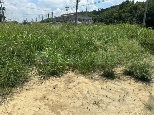 高雄岡山農地-6