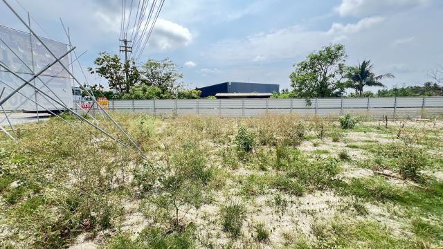 高雄仁武農地-10