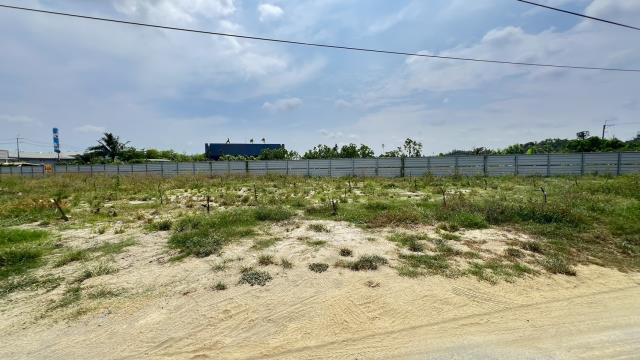 高雄仁武農地-1