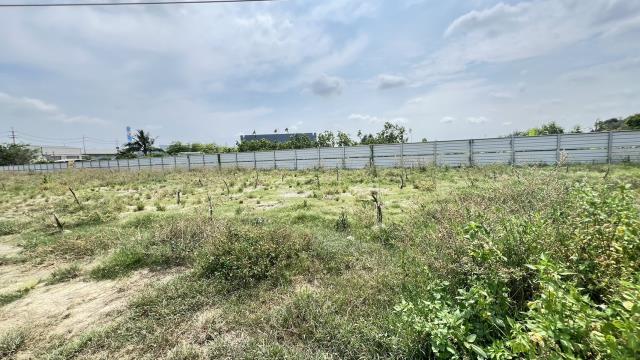 高雄仁武農地-9