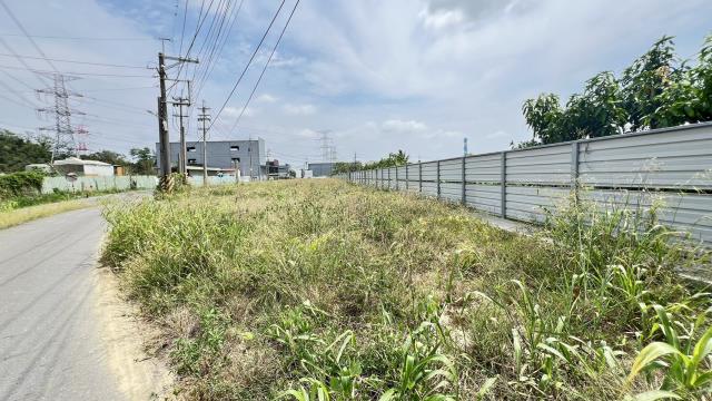 高雄仁武農地-14