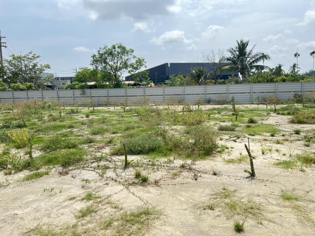 高雄仁武農地-4