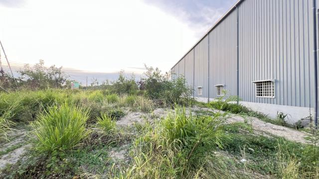 高雄燕巢農地-1