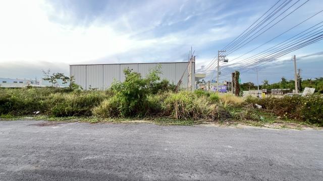 高雄燕巢農地-3